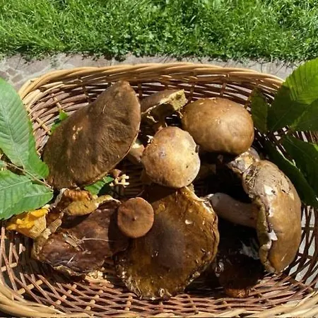 Cascina Bruna, Un Paradiso In Val Trebbia
