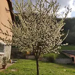 Cascina Bruna - Terrazza Panoramica E Giardino A Bobbio, Val Trebbia *