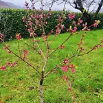 Cascina Bruna - Terrazza Panoramica E Giardino A Bobbio, Val Trebbia Villa *
