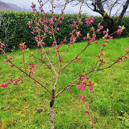 Cascina Bruna Con Giardino In Val Trebbia Feriehus *
