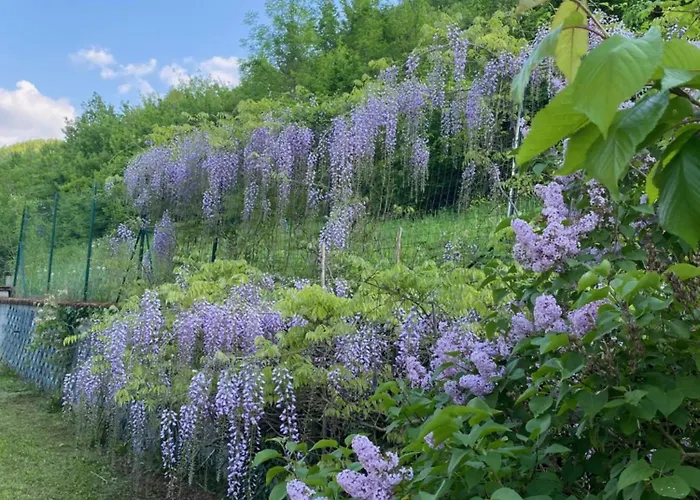 Cascina Bruna - Terrazza Panoramica E Giardino A Bobbio, Val Trebbia Дом отдыха *