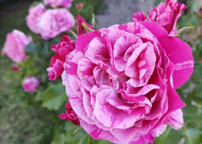 Vila Cascina Bruna - Terrazza Panoramica E Giardino A Bobbio, Val Trebbia *