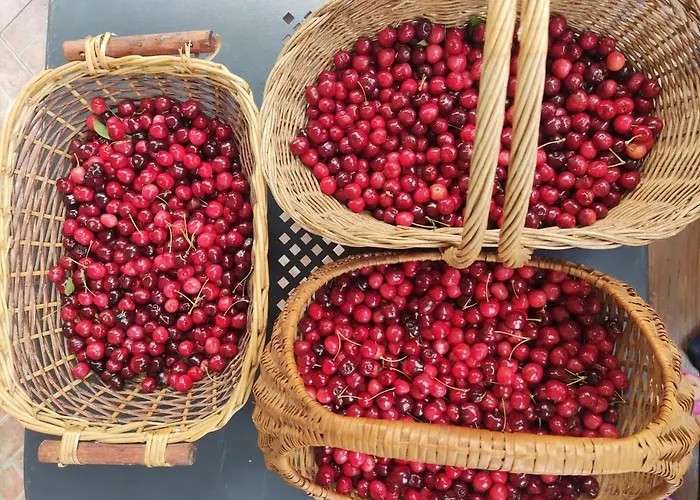 Cascina Bruna - Terrazza Panoramica E Giardino A Bobbio, Val Trebbia Tatil Evi Bobbio