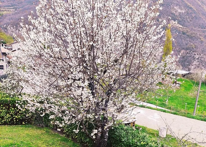 Cascina Bruna - Terrazza Panoramica E Giardino A Bobbio, Val Trebbia Tatil Evi *