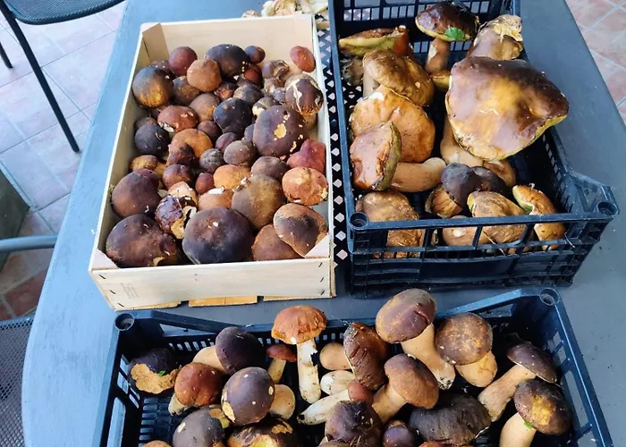 Cascina Bruna - Terrazza Panoramica E Giardino A Bobbio, Val Trebbia Боббио