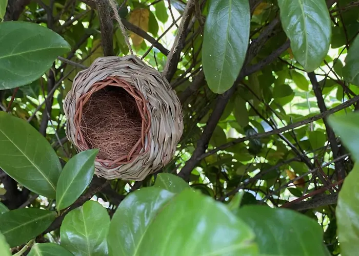 Дом отдыха Cascina Bruna - Terrazza Panoramica E Giardino A Bobbio, Val Trebbia