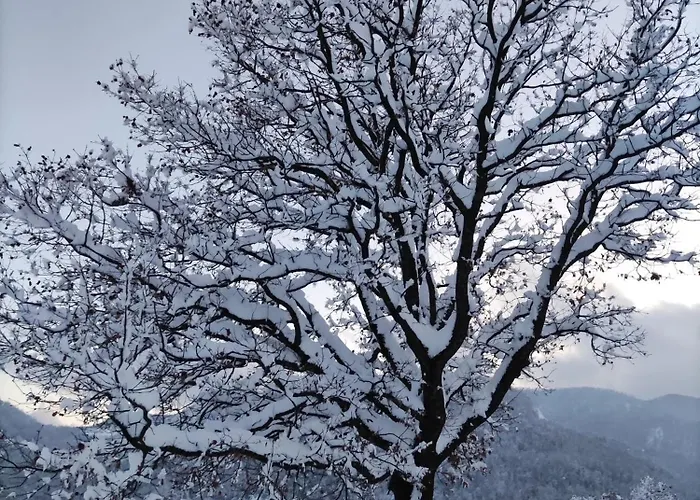 Tatil Evi Cascina Bruna - Terrazza Panoramica E Giardino A Bobbio, Val Trebbia