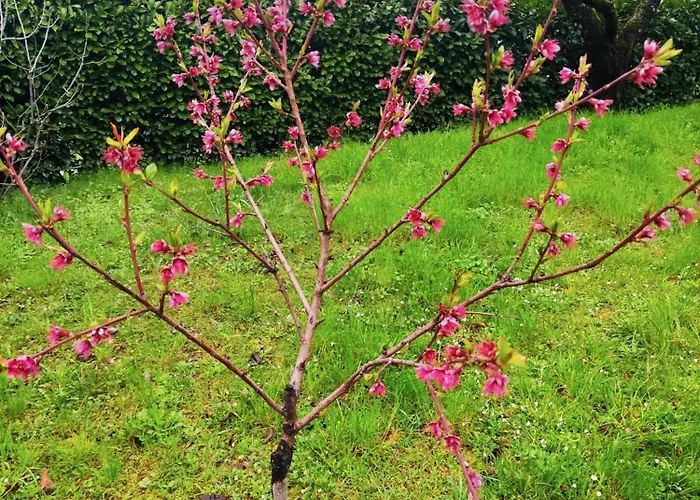 Cascina Bruna - Terrazza Panoramica E Giardino A Bobbio, Val Trebbia Tatil Evi *